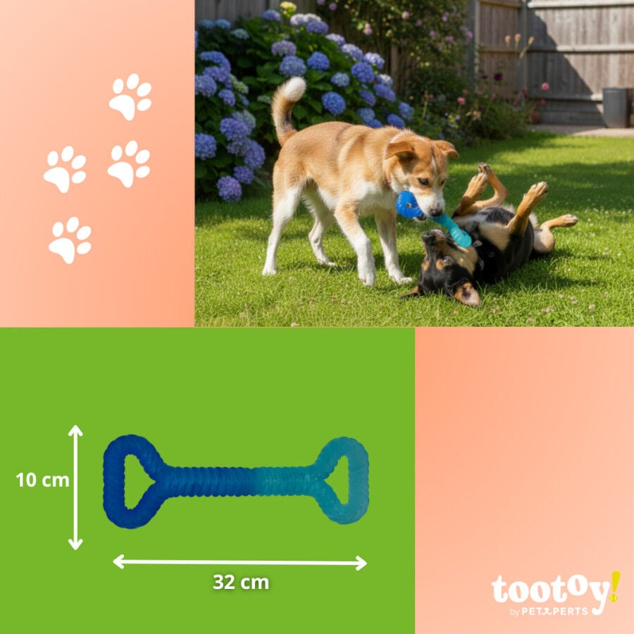 Tootoy! Mordedor Grill and Pull Azul para perros, , large indicador imagen numero 4