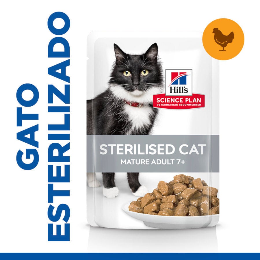12 sobres x 85 g Hill's Science Plan Sterilised Mature Pollo en Salsa sobre para gatos, , large Imagen numero 2
