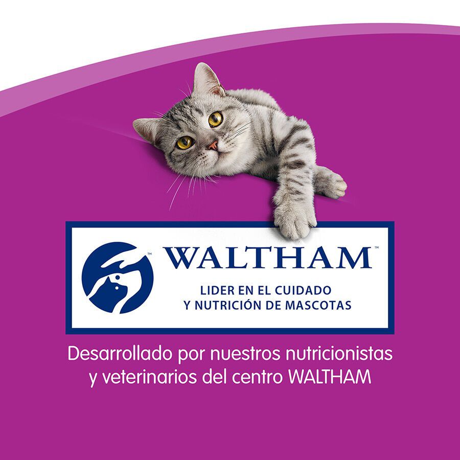 3 barritas Whiskas Sticks Snacks Pollo para Gatos, , large Imagen numero 6