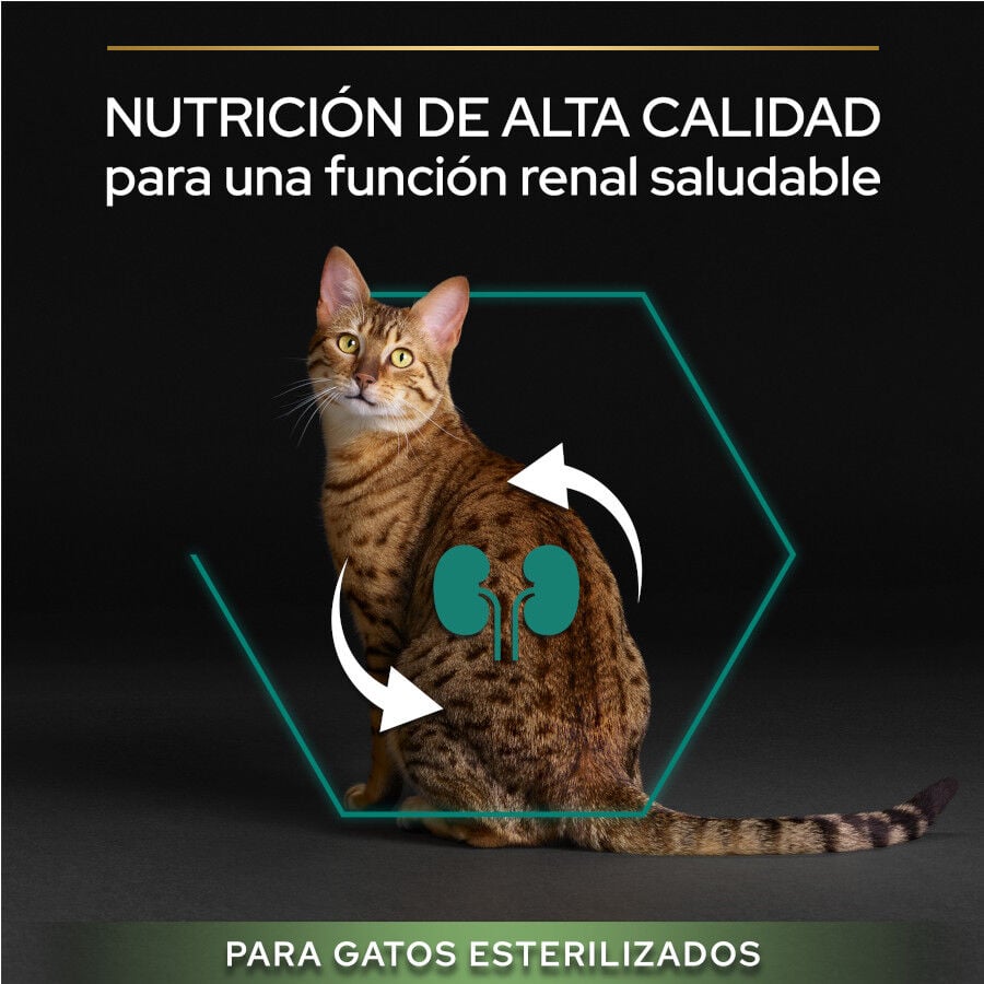 12 kg (10 + 2 kg &iexcl;gratis!) Pro Plan Adult Sterilized Salm&oacute;n Pienso para gatos, , large Imagen numero 5