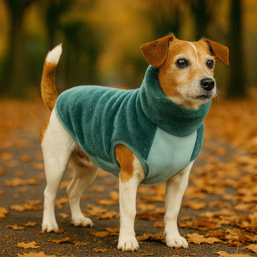 Outech Forro Polar Aguamarina para perros, , large indicador imagen numero 1