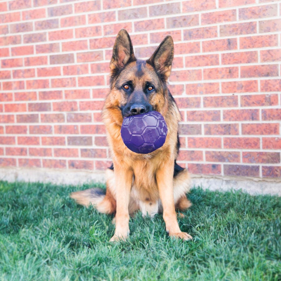 Kong Flexball Pelota para perros, , large Imagen numero 2