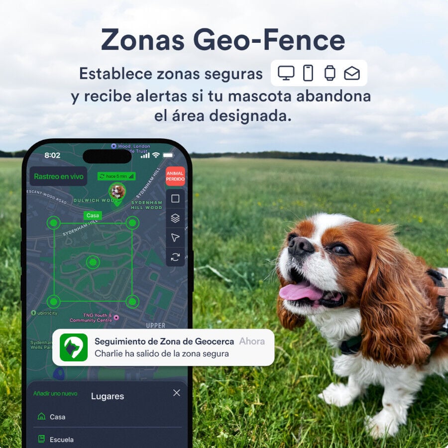 Trackimo Localizador GPS Petloc8 4G para perros y gatos, , large indicador imagen numero 6