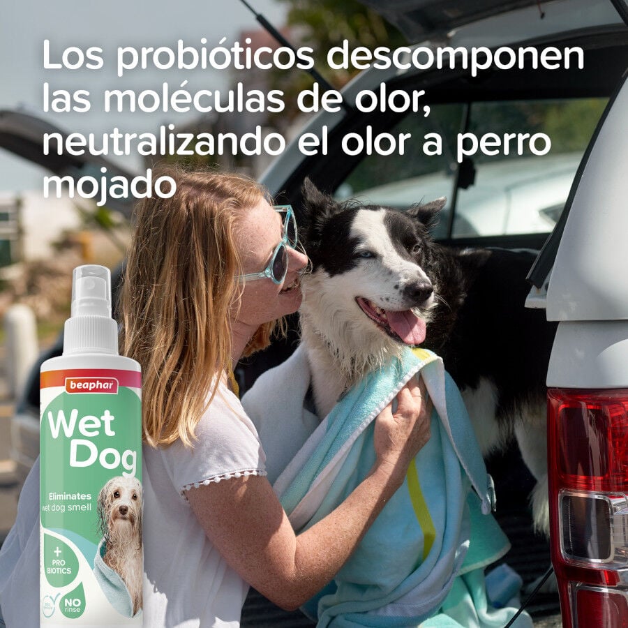 Beaphar Wet dog spray antiolor para perros, , large indicador imagen numero 3