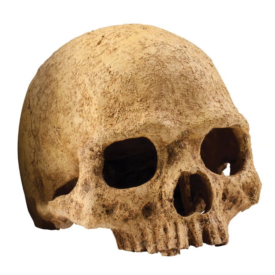 Exoterra Refugio calavera para terrarios, , large indicador imagen numero 1
