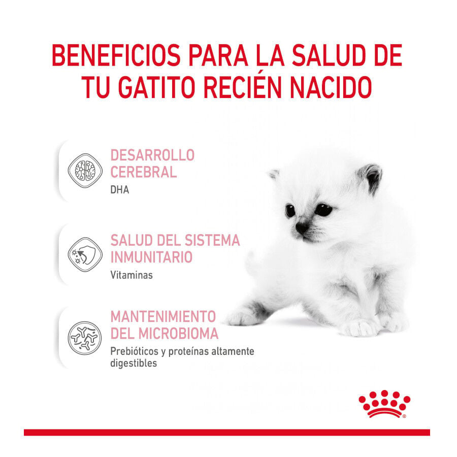 300 g Royal Canin Leche para gatitos primer a&ntilde;o, , large indicador imagen numero 6