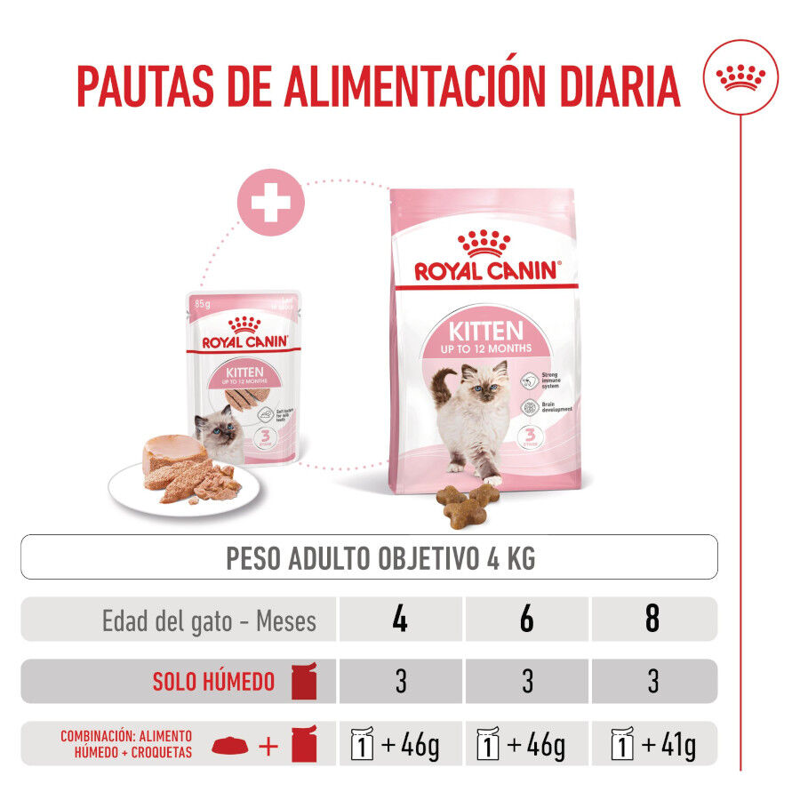 85 g Royal Canin Kitten pat&eacute; sobre para gatos, , large indicador imagen numero 8