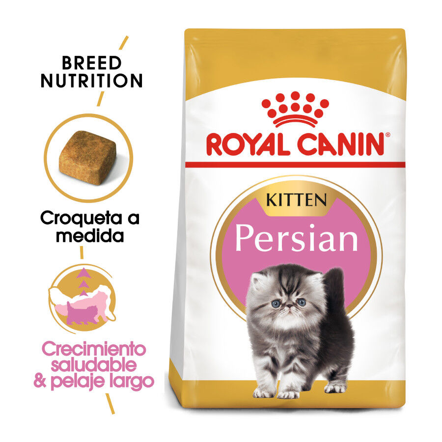 10 kg Royal Canin Kitten Persia pienso para gatos, , large indicador imagen numero 2