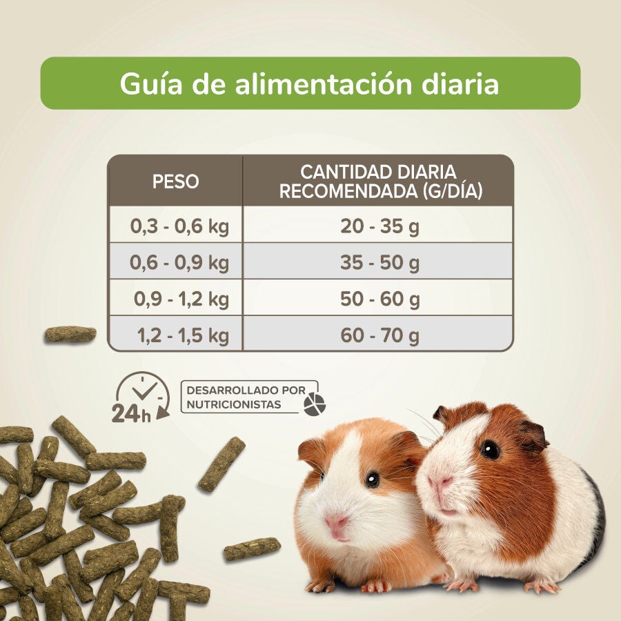 Beaphar Care+ Nature pienso para cobayas, , large indicador imagen numero 4