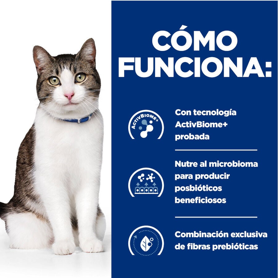 82 g Hill&rsquo;s Prescription Diet Gastrointestinal Biome Stress estofado lata para gatos, , large indicador imagen numero 5