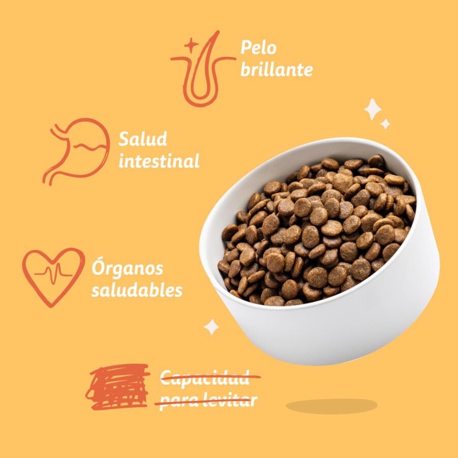 12 kg Edgard & Cooper Adult Pollo pienso para perros, , large indicador imagen numero 6
