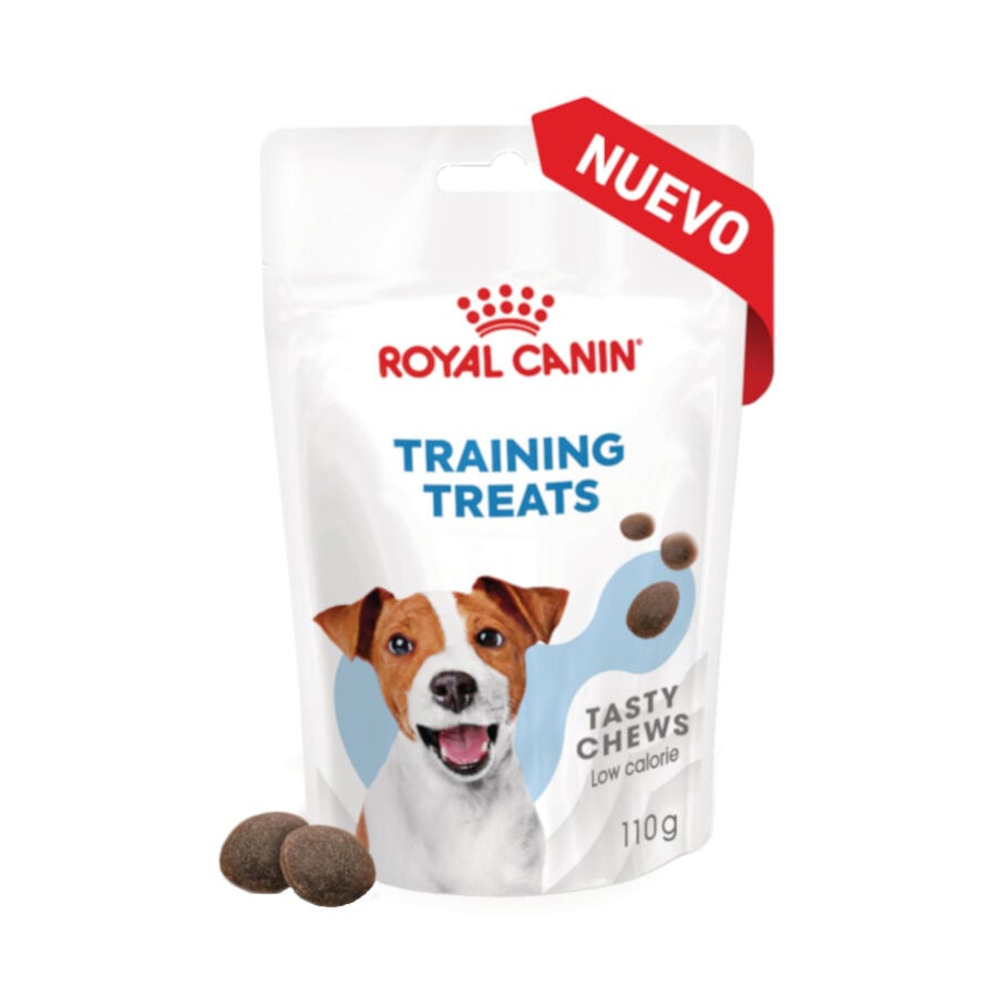 Royal Canin Training Treats Snacks para perros