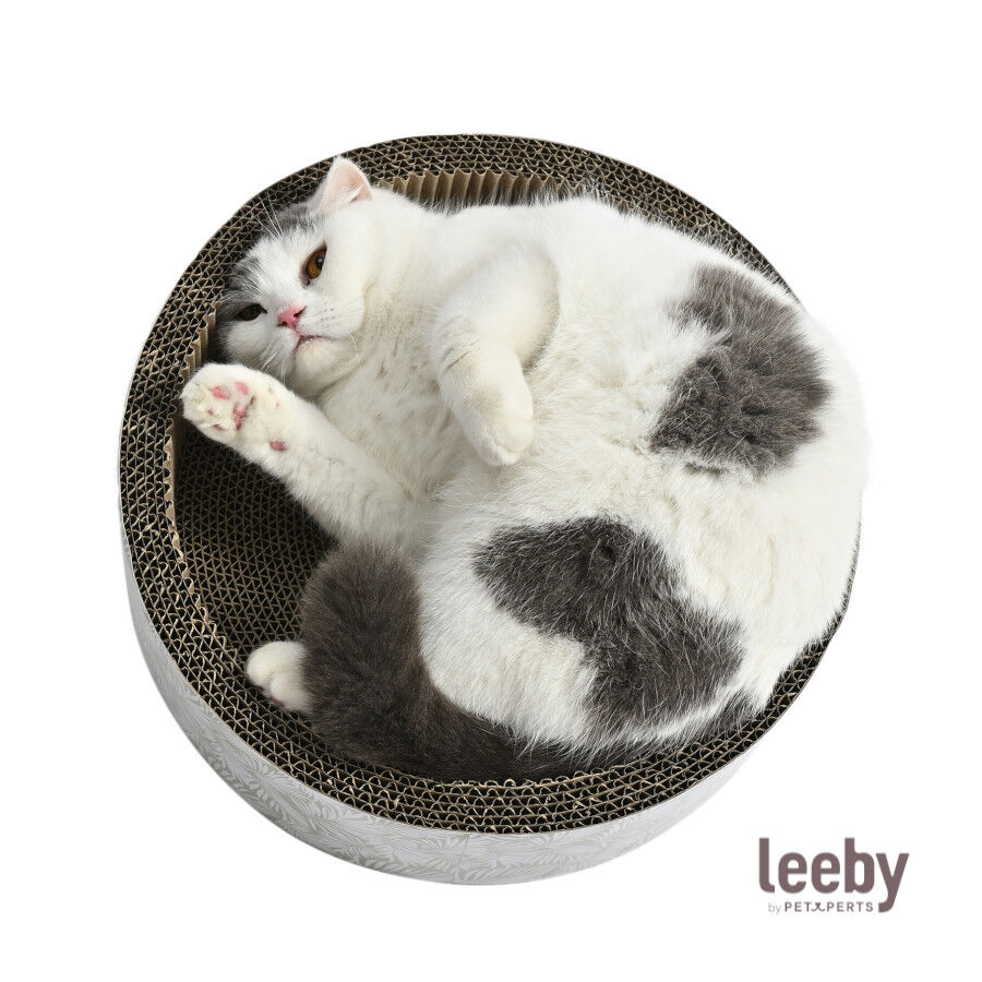 Leeby Domingo cama rascador de cart&oacute;n con estampado para gatos, , large indicador imagen numero 2