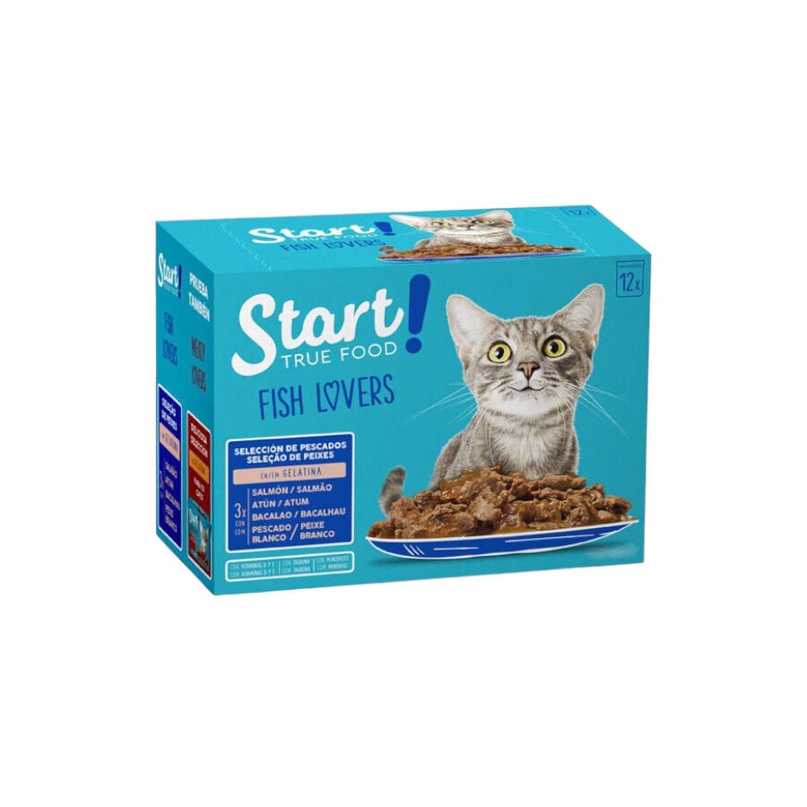 48 sobres x 100 g Start Cat Selecci&oacute;n de Pescados sobres en gelatina para gatos, , large Imagen numero 1