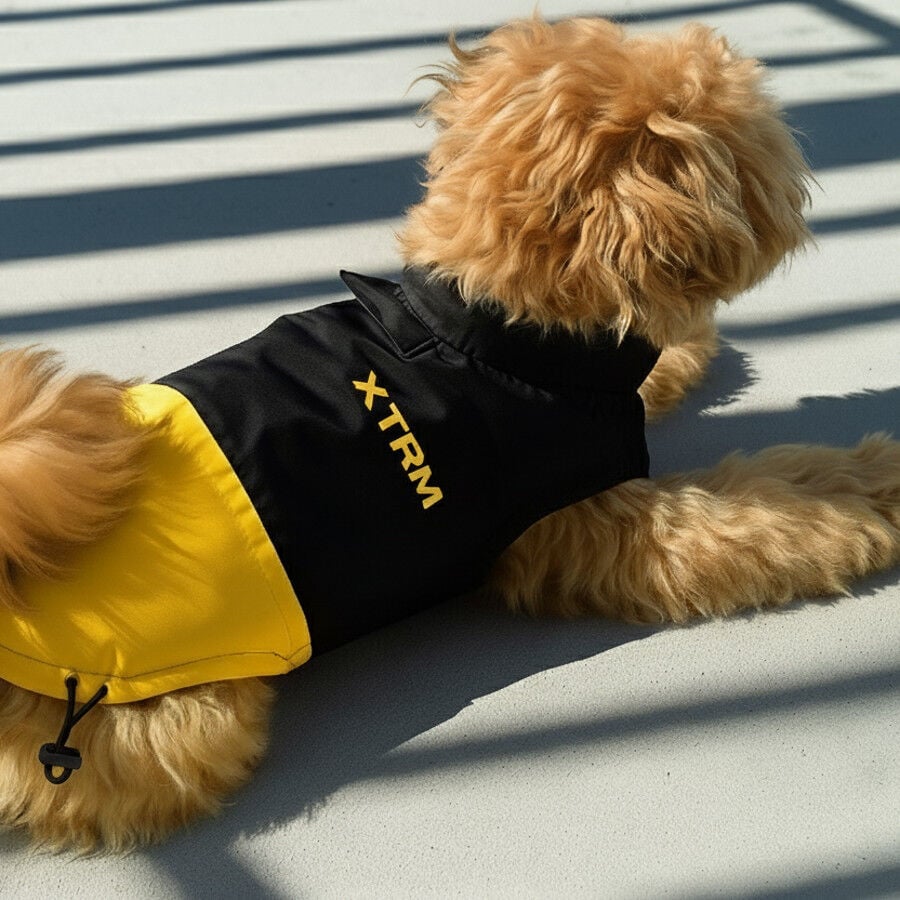 Nayeco X-TRM Chubasquero Negro y Amarillo para perros, , large indicador imagen numero 1