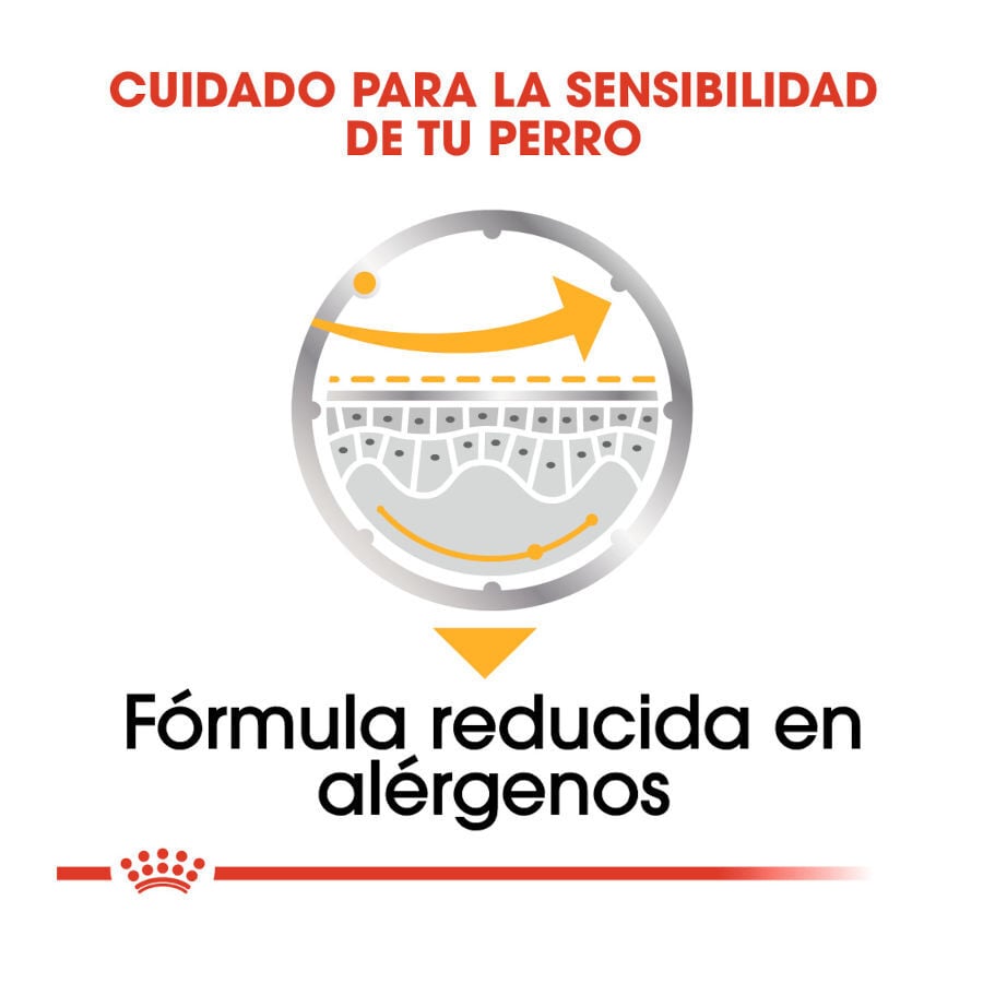 85 g Royal Canin Dermacomfort Sobres Pat&eacute; para perros, , large Imagen numero 5
