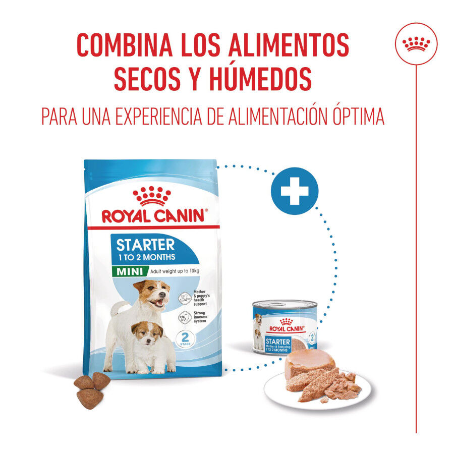 4 kg Royal Canin Starter MotheryBaby Mini pienso para perros, , large indicador imagen numero 6