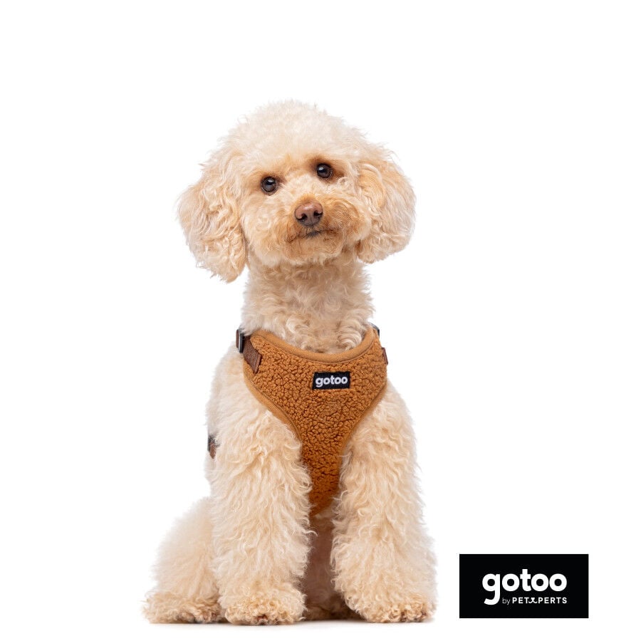 Gotoo Arn&eacute;s ajustable teddy marr&oacute;n para perros