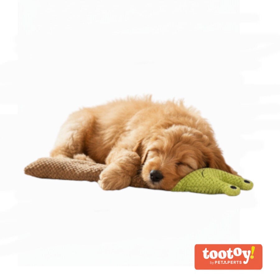 Tootoy! Caracol de Peluche Extensible con Sonido para perros, , large indicador imagen numero 8