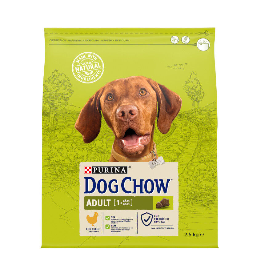 2.5 kg Dog Chow Adult Pollo pienso para perros, , large Imagen numero 1