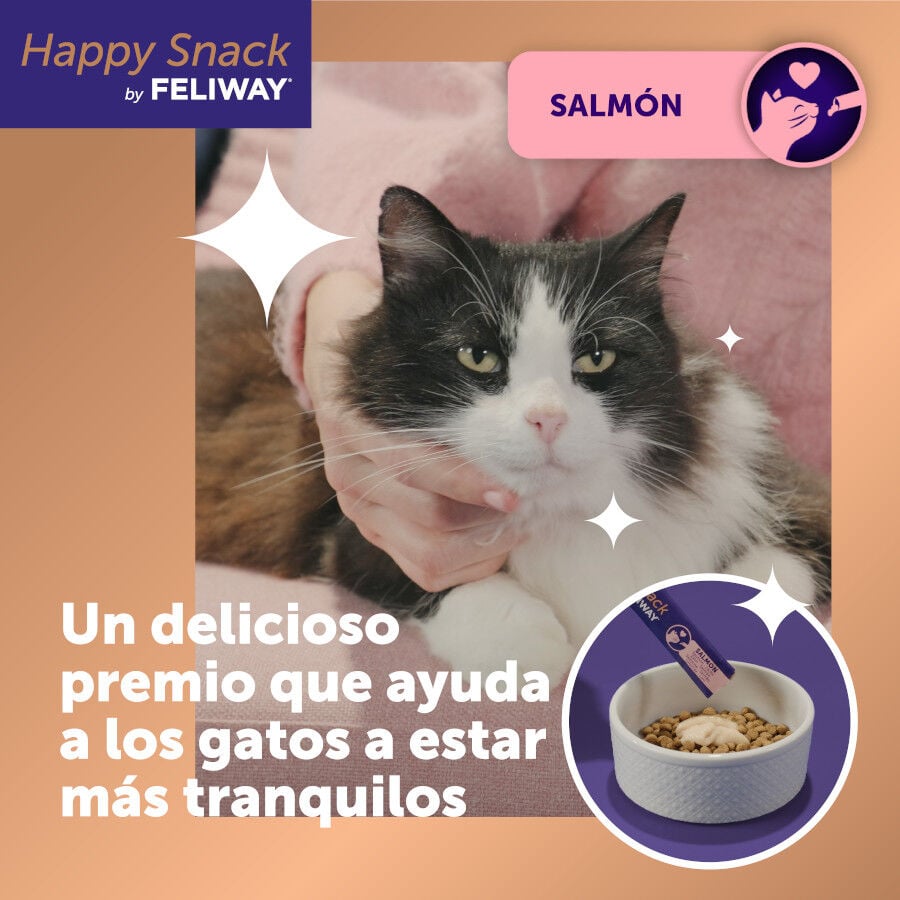 6 barritas Feliway Ceva Happy Snack Salm&oacute;n para gatos, , large indicador imagen numero 2