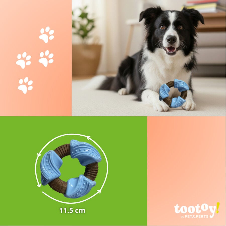 Tootoy! Anillo Mordedor Dental Azul y Marr&oacute;n para perros, , large indicador imagen numero 4
