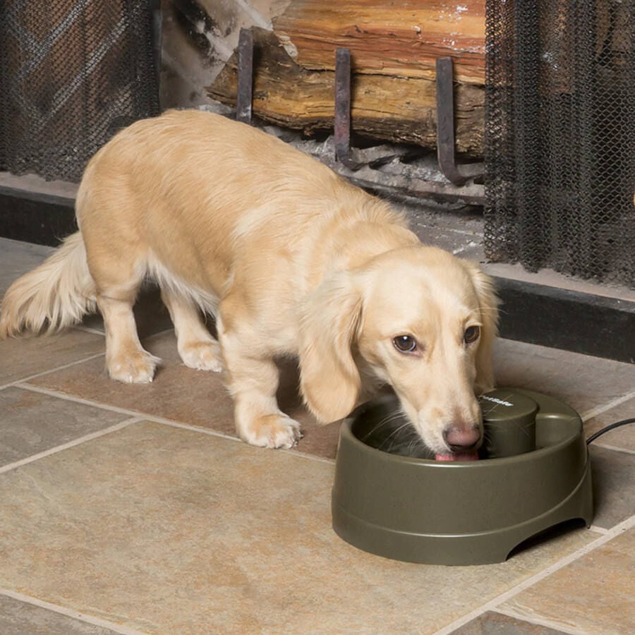 Petsafe Drinkwell Bebedero Autom&aacute;tico para perros y gatos, , large indicador imagen numero 3