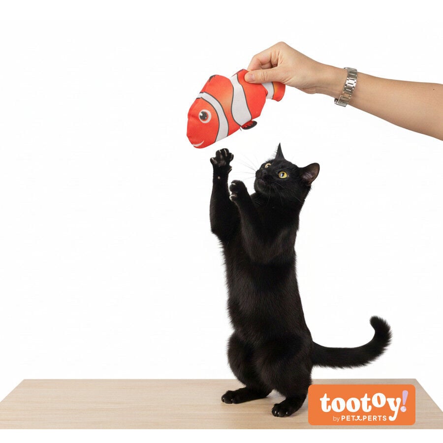 Tootoy! Juguete Interactivo Pez Payaso para gatos, , large Imagen numero 9