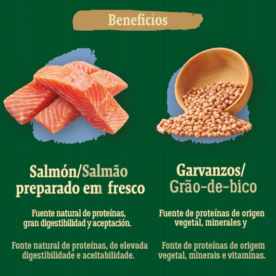 6 kg True Origins Wild Adult Pacific Salm&oacute;n pienso para gatos, , large indicador imagen numero 5