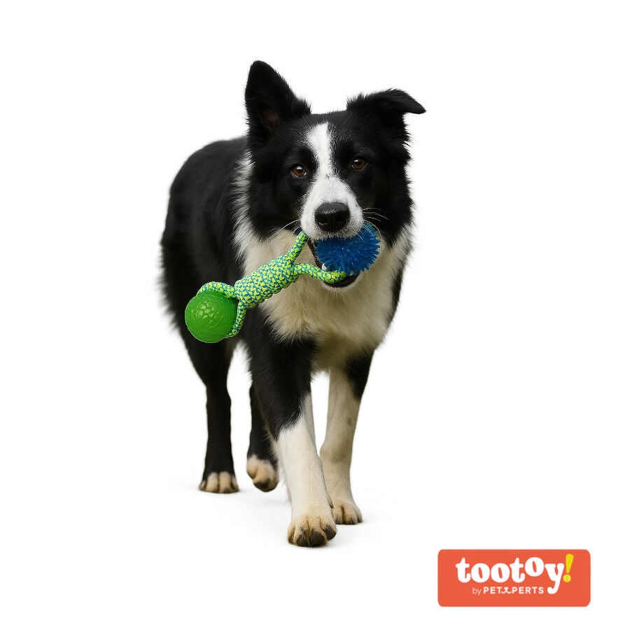 Tootoy! Mordedor de Cuerda con Pelotas de Goma para perros, , large indicador imagen numero 8