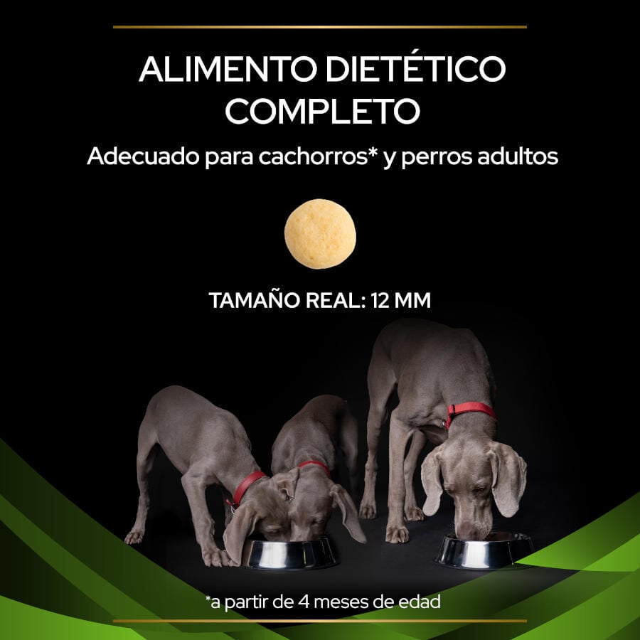 11 kg Pro Plan Veterinary Diets Hypoallergenic pienso para perros, , large indicador imagen numero 3