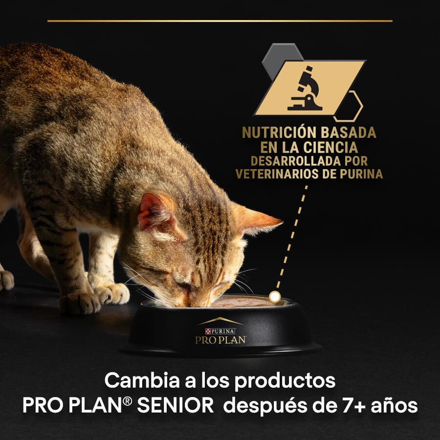 10 sobres x 85 g Pro Plan Adult Delicate Digestion Pavo y Pescado del Oc&eacute;ano en Salsa sobre para gatos - Multipack, , large indicador imagen numero 5