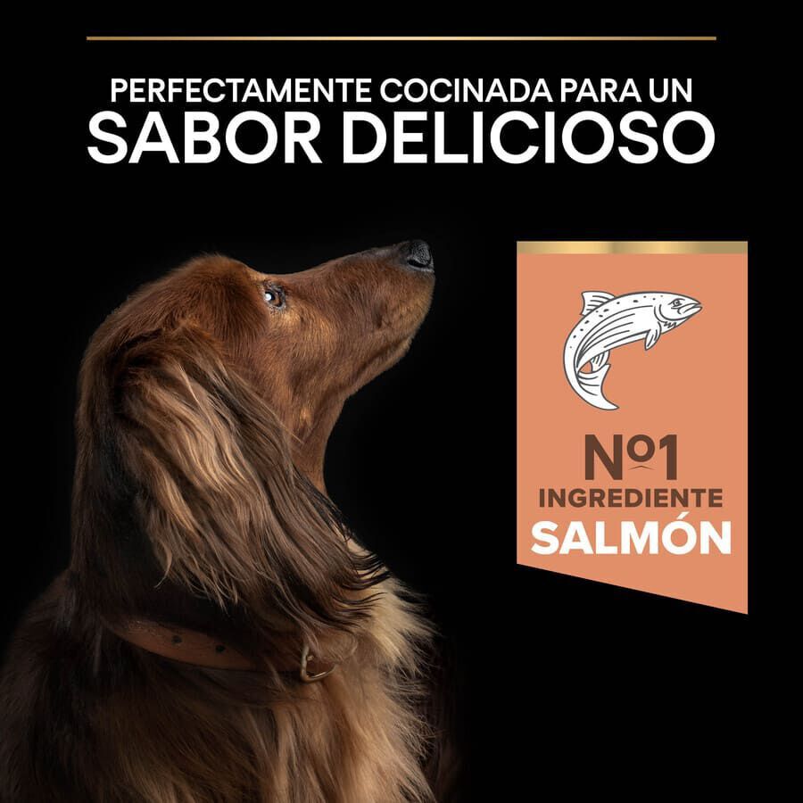3 kg Pro Plan Adult Small y Mini Salm&oacute;n Sensitive Skin pienso para perros, , large indicador imagen numero 7