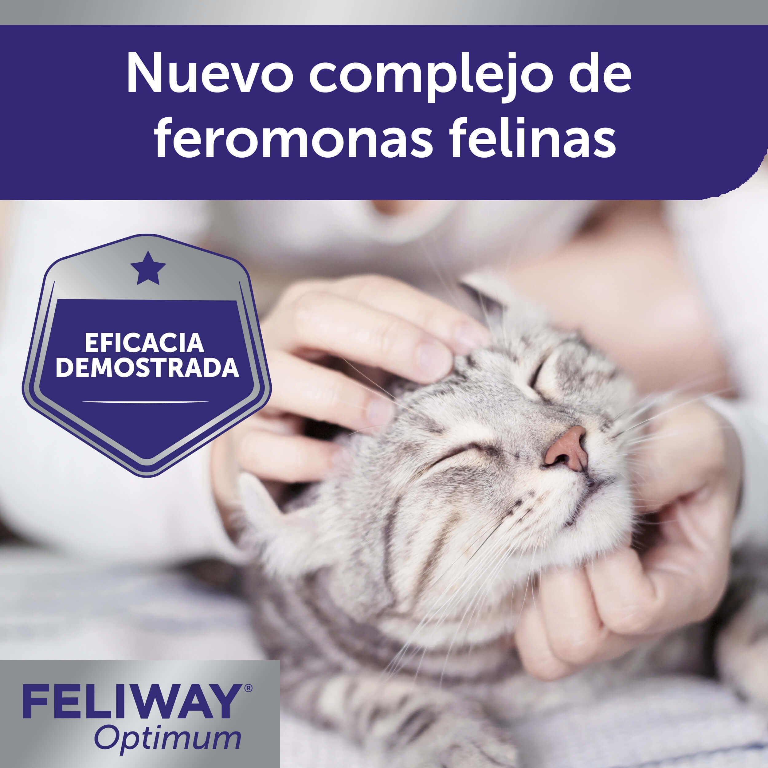 Feliway Optimum Difusor Tranquilizante para gatos, , large indicador imagen numero 6