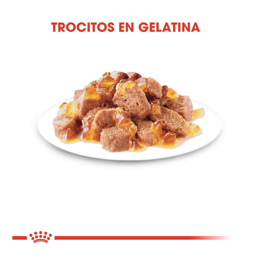 85 g Royal Canin Sterilised gelatina sobres para gato, , large Imagen numero 4