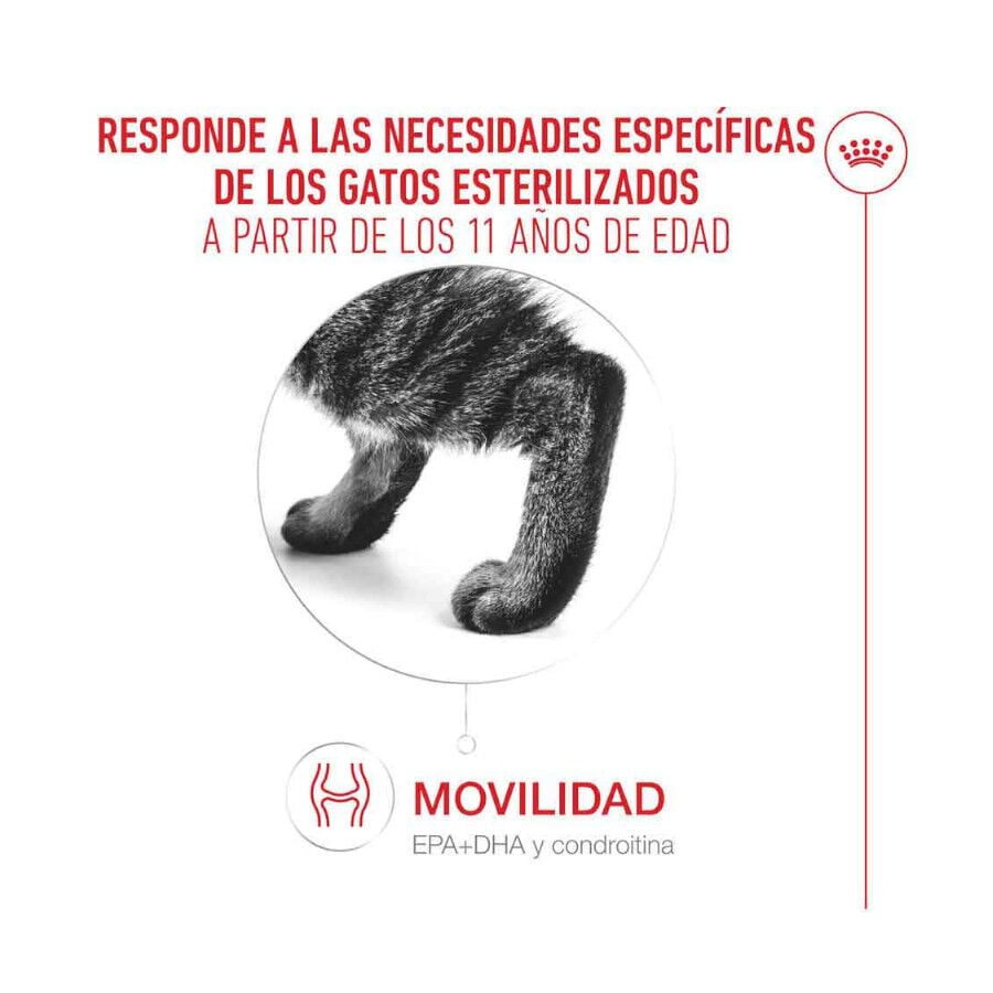 4 kg Royal Canin Ageing 11+ Sterilised pienso para gatos&nbsp;senior, , large Imagen numero 6