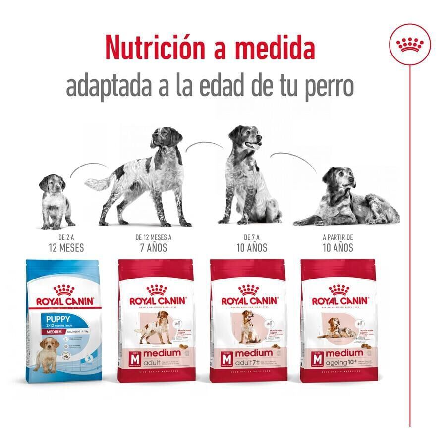 15 kg Royal Canin Medium 7+ Adult pienso para perros senior, , large indicador imagen numero 10
