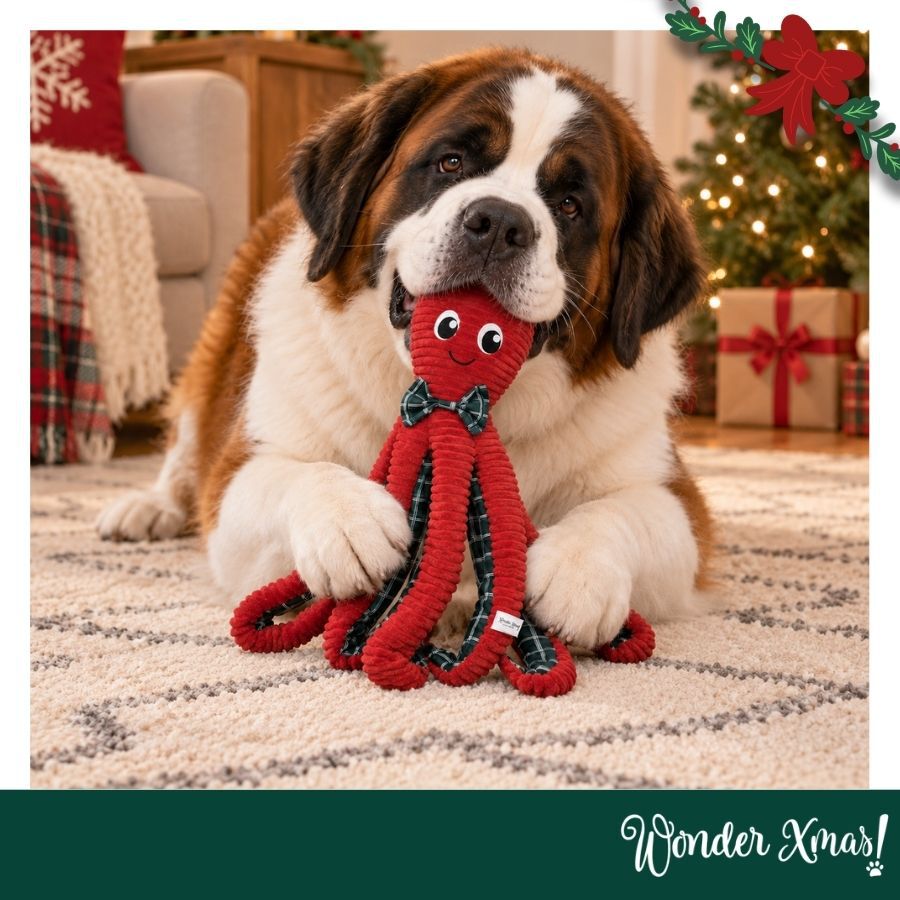 Wonder Christmas Pulpo XL Peluche para perros, , large indicador imagen numero 2