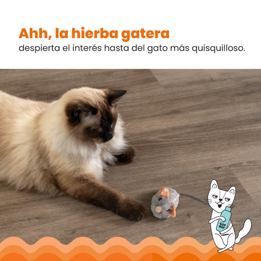Catstages Squeaky Squeaky Gris Rat&oacute;n de Juguete con Catnip para gatos, , large Imagen numero 4