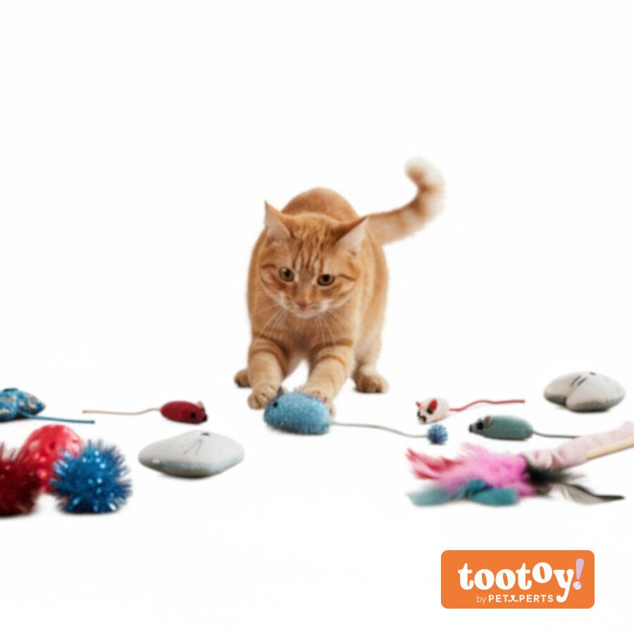 Tootoy! Caja de Juguetes Variados para gatitos, , large indicador imagen numero 14