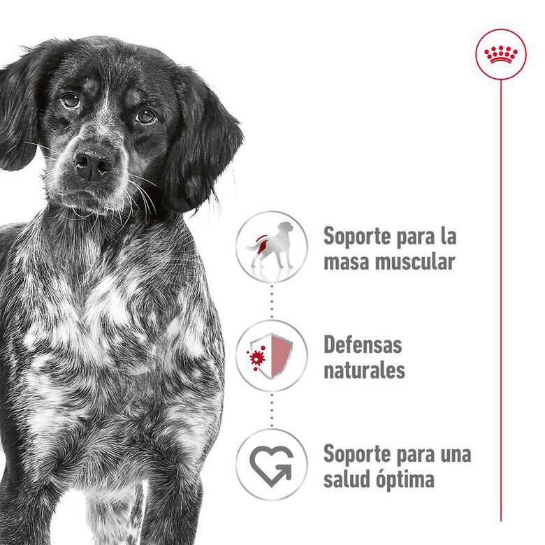 18 kg (15 + 3 kg &iexcl;gratis!) Royal Canin Medium Adult pienso para perros, , large Imagen numero 5