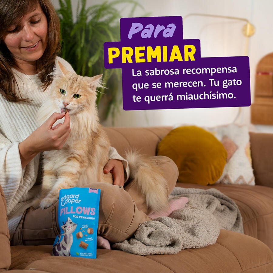 60 g Edgard & Cooper Bocaditos Pillows de salmon para gatos, , large Imagen numero 4