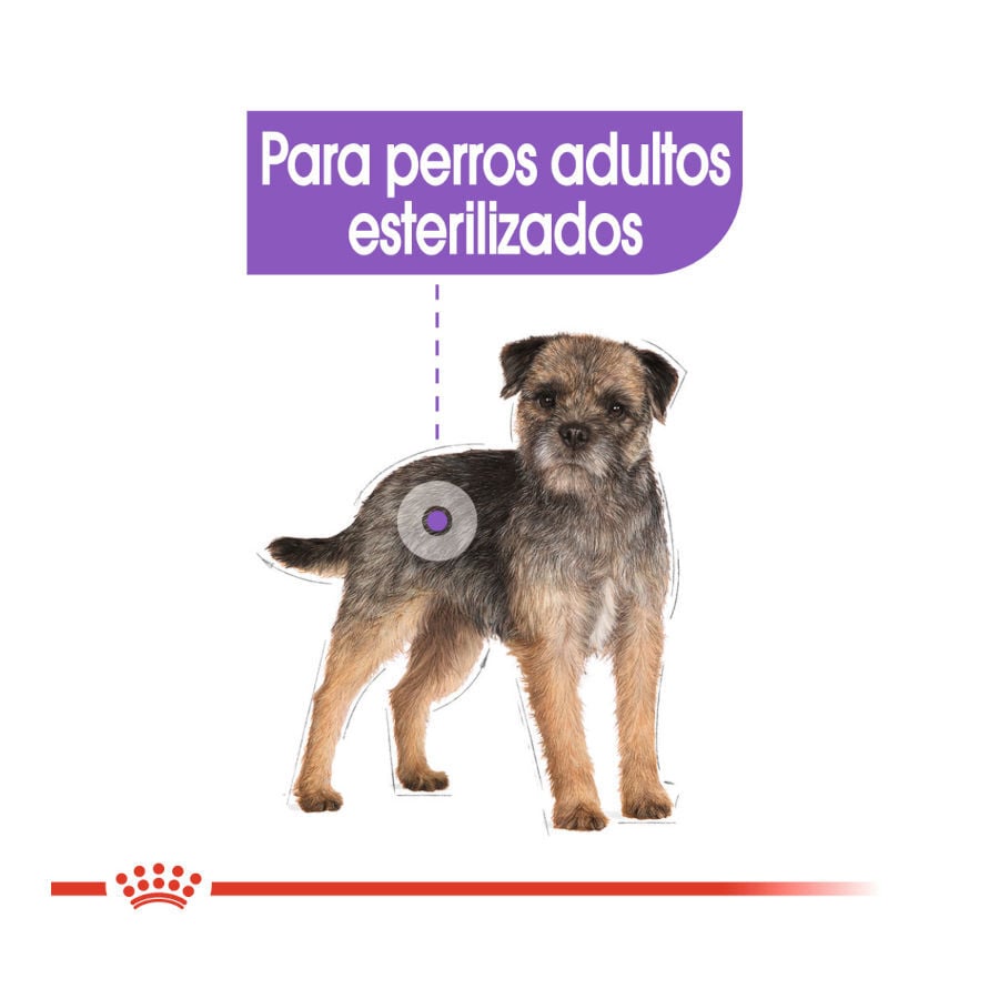 85 g Royal Canin Sterilised Sobres Pat&eacute; para perros, , large Imagen numero 4