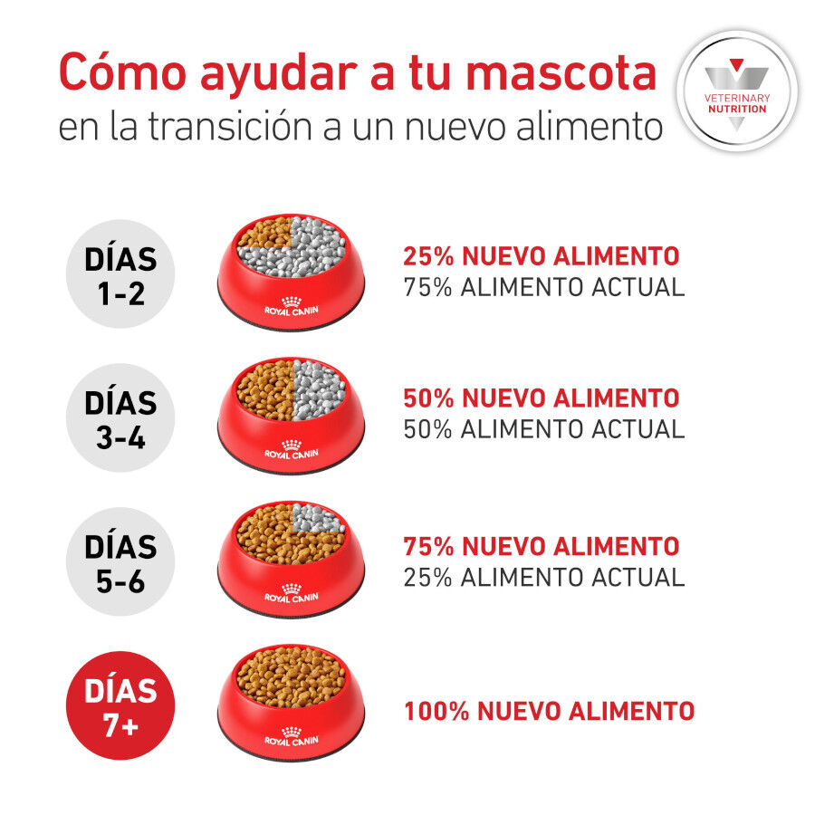 1.5 kg Royal Canin Glycobalance Pienso para perros, , large indicador imagen numero 8
