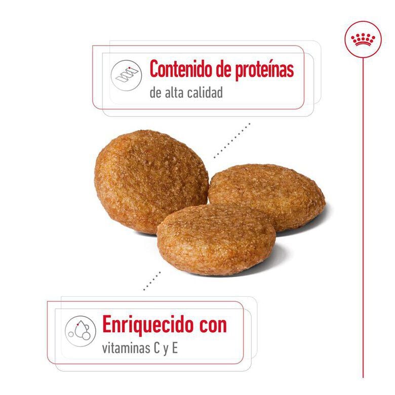 18 kg (15 + 3 kg &iexcl;gratis!) Royal Canin Medium Adult pienso para perros, , large Imagen numero 6