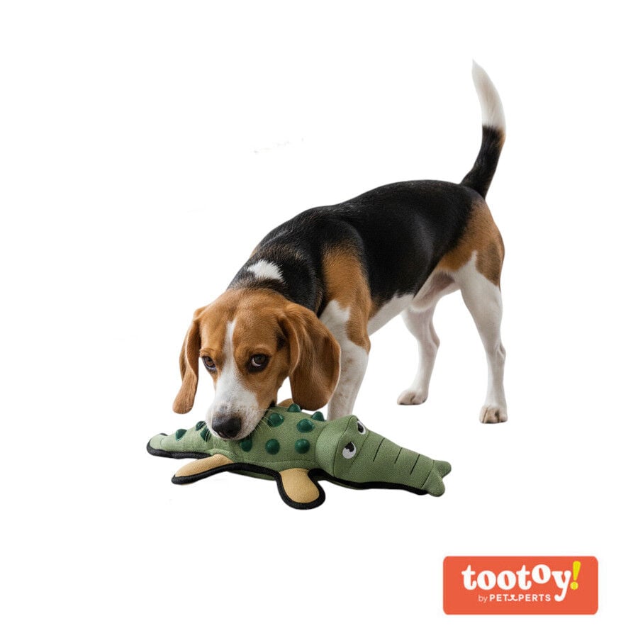 Tootoy! Peluche Mordedor Resistente Cocodrilo para perros