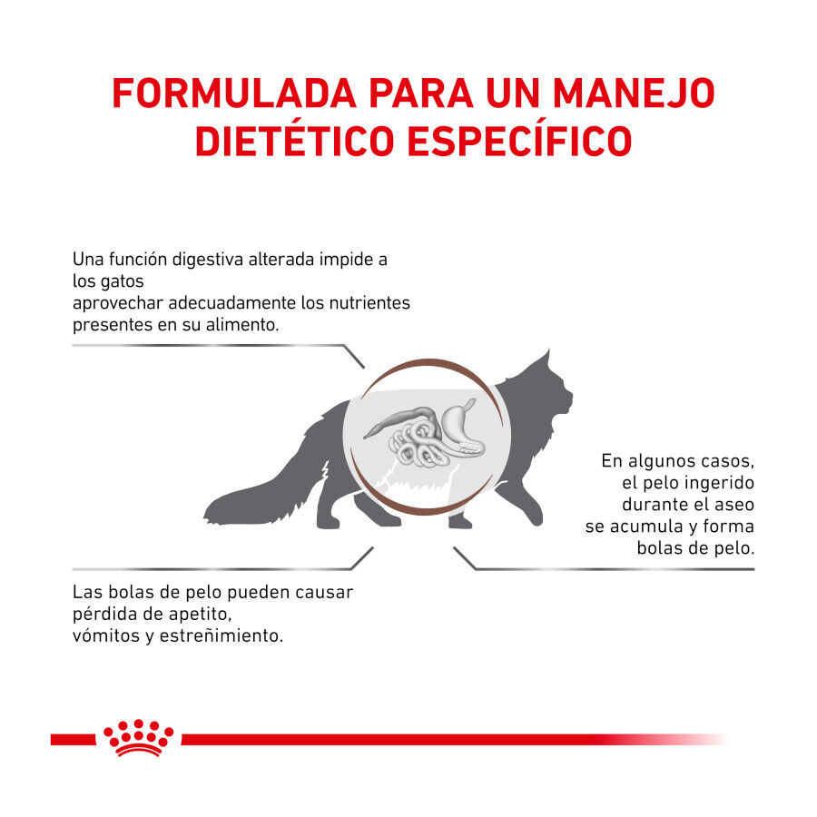 2 kg Royal Canin Veterinary Gastrointestinal Hairball pienso para gatos, , large indicador imagen numero 6