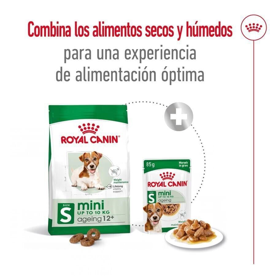 3.5 kg Royal Canin Mini 12+ Ageing pienso para perros&nbsp;senior, , large Imagen numero 2