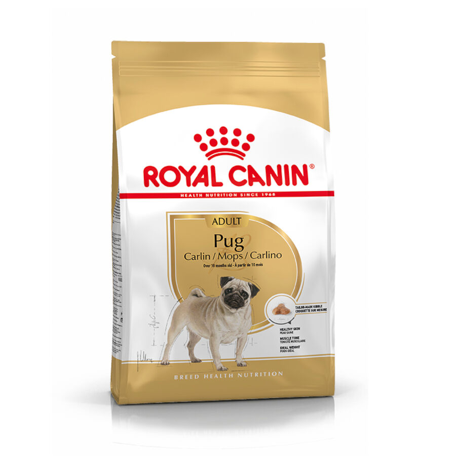 3 kg Royal Canin Adult Pug pienso para perros, , large indicador imagen numero 1