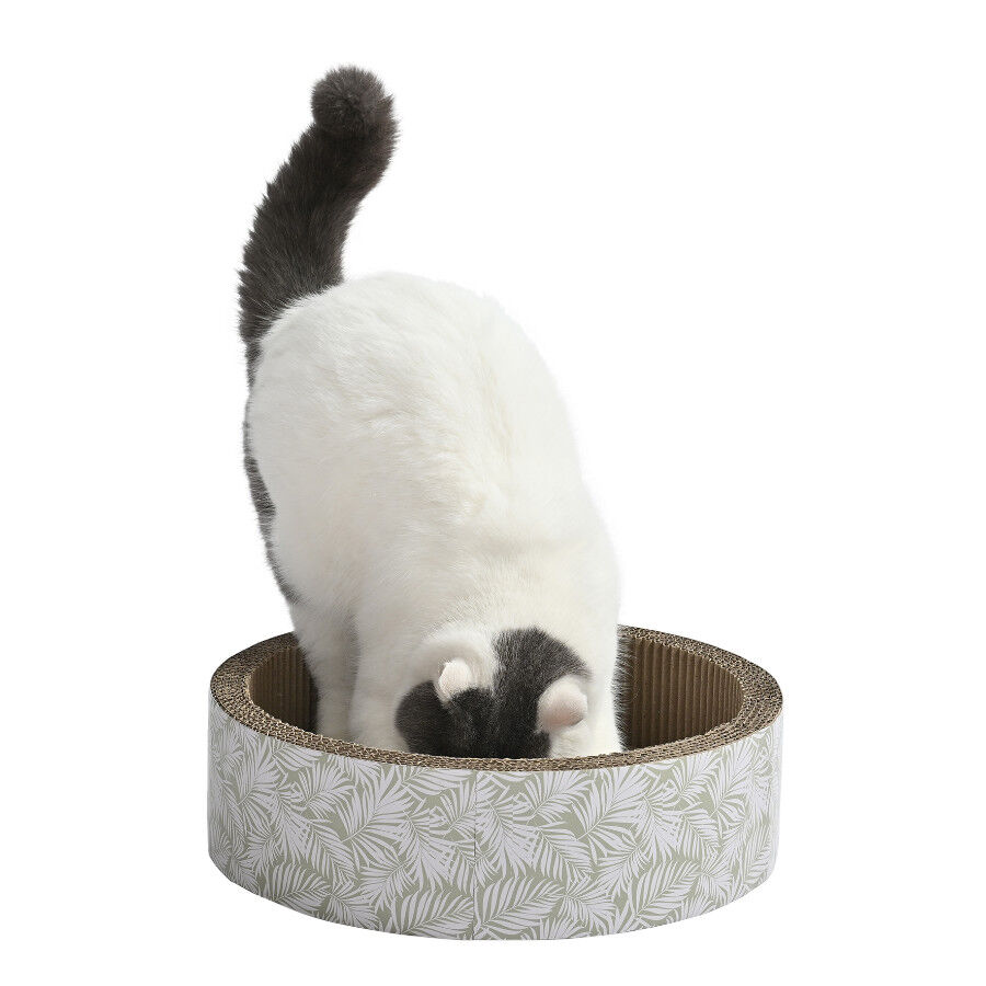 Leeby Domingo cama rascador de cart&oacute;n con estampado para gatos, , large indicador imagen numero 4